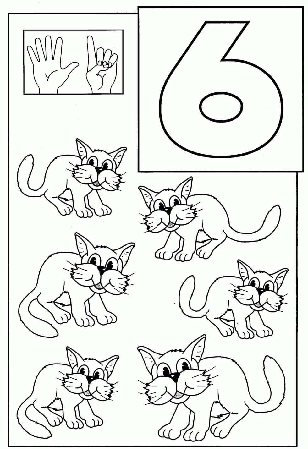 Dibujos de Gato Número Seis y Seis para colorear