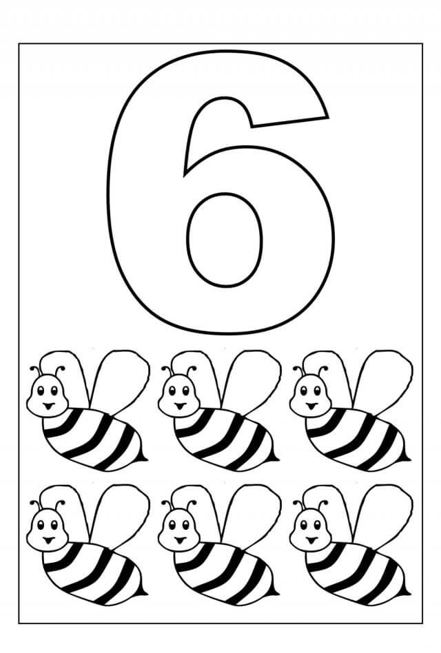 Dibujos de Número Seis y Seis Uno para colorear