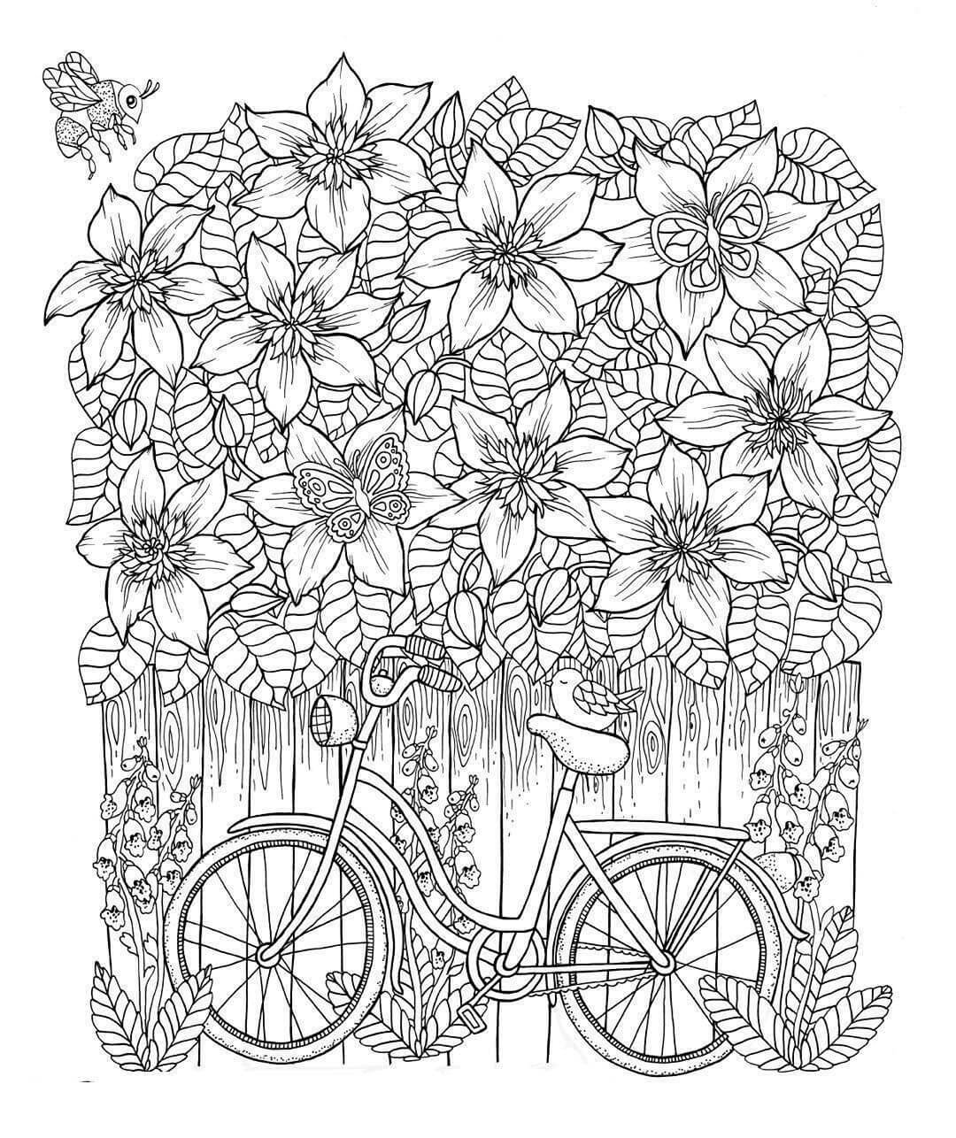 Dibujos de Clematis y Bicicleta para colorear