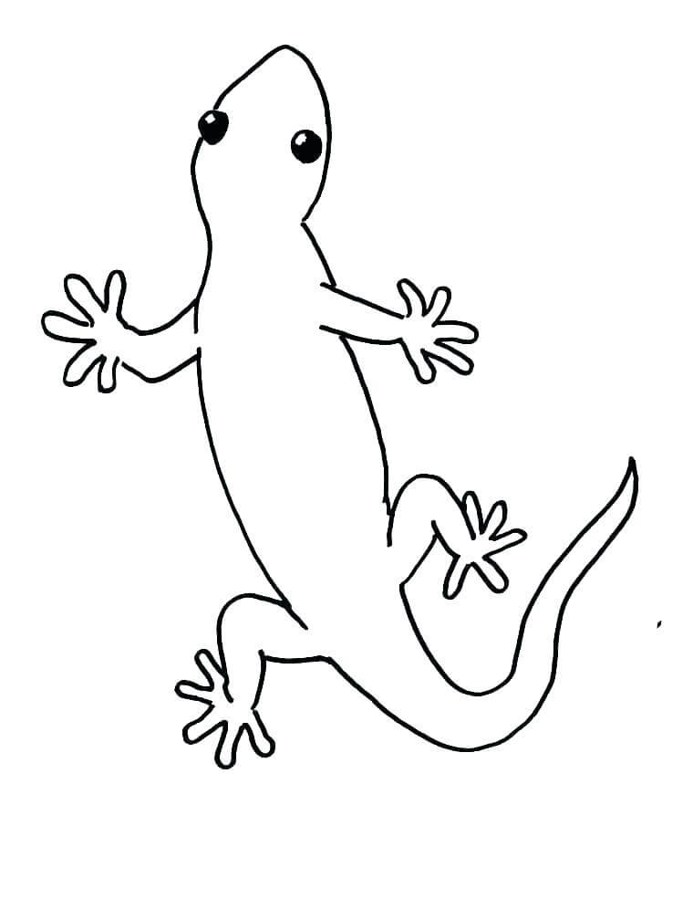 Dibujos de Fácil Gecko para colorear