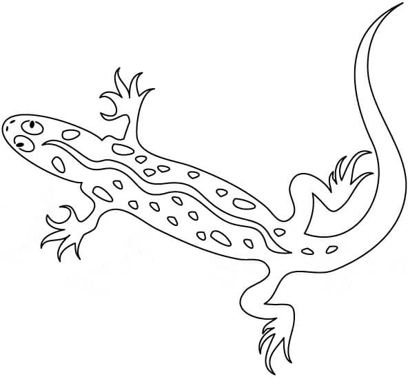 Dibujos de Gecko Imprimible para colorear