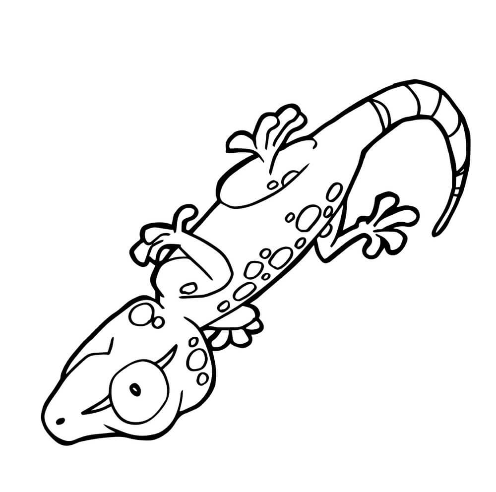 Dibujos de Gecko Lindo de Dibujos Animados para colorear