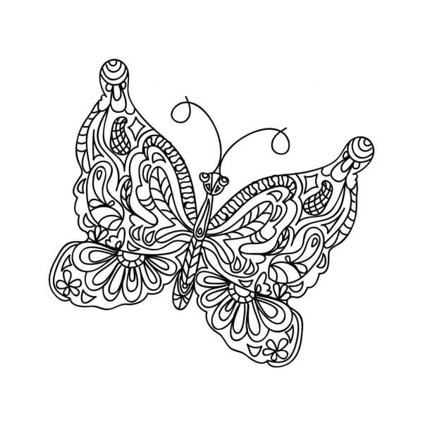 Mariposa Adulto Para Colorear Imprimir E Dibujar Dibujos Colorear Com