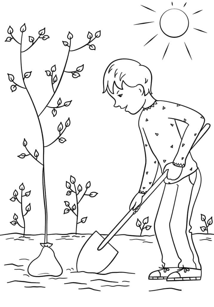 Dibujos de Niño, Plantar un Árbol para colorear