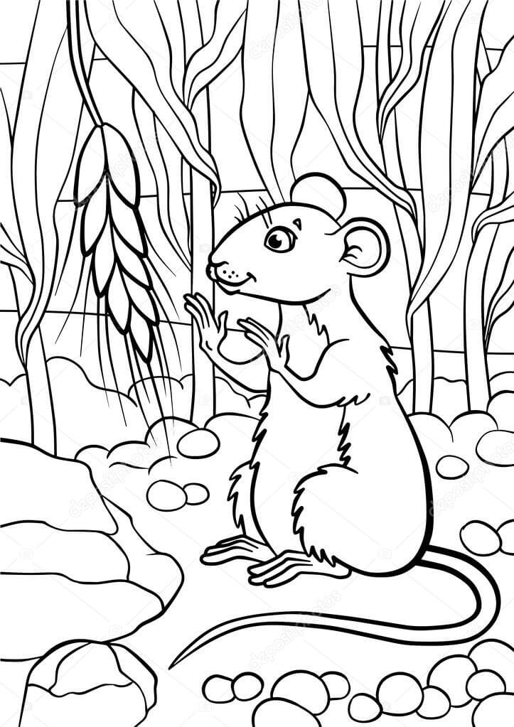 Dibujos de Pequeño ratón Lindo Mira el Pedazo de Trigo para colorear