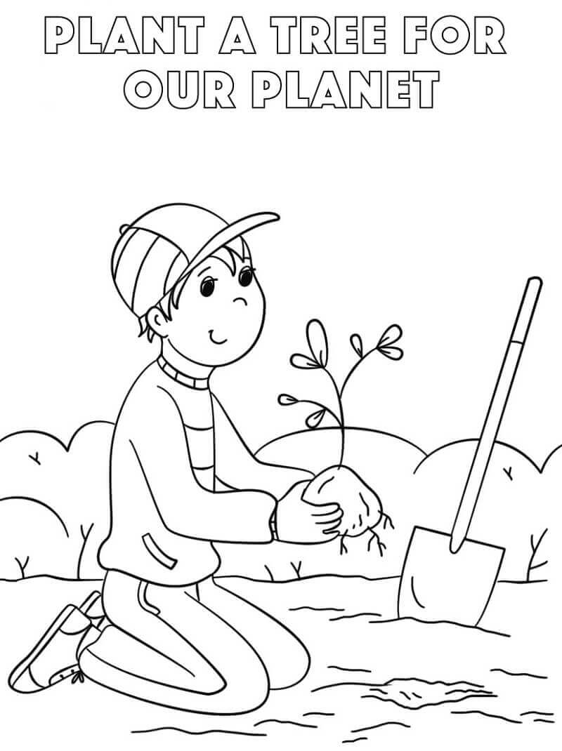 Dibujos de Planta un Árbol para colorear
